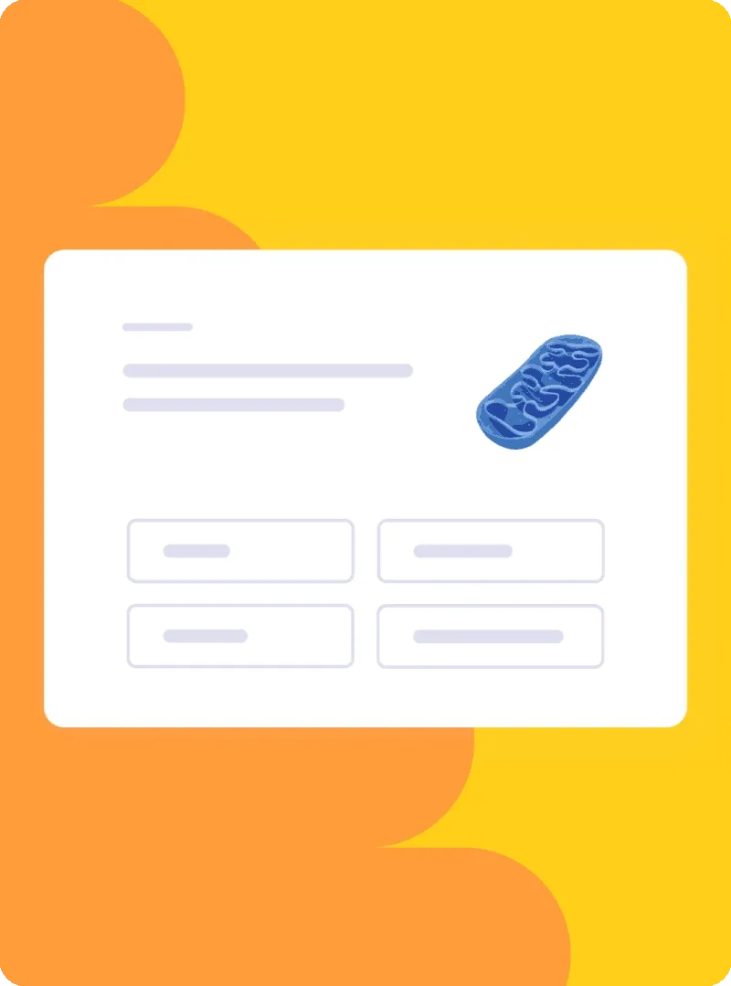 퀴즐렛 2 퀴즐렛 웹사이트