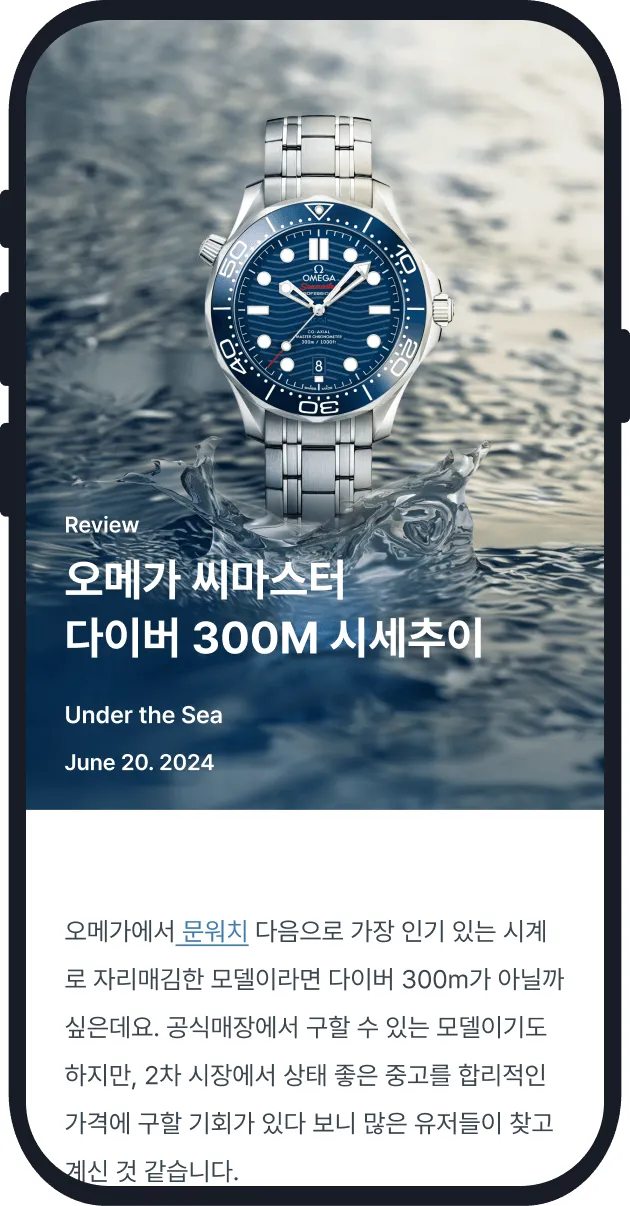 바이버 13 바이버 살펴보기 8