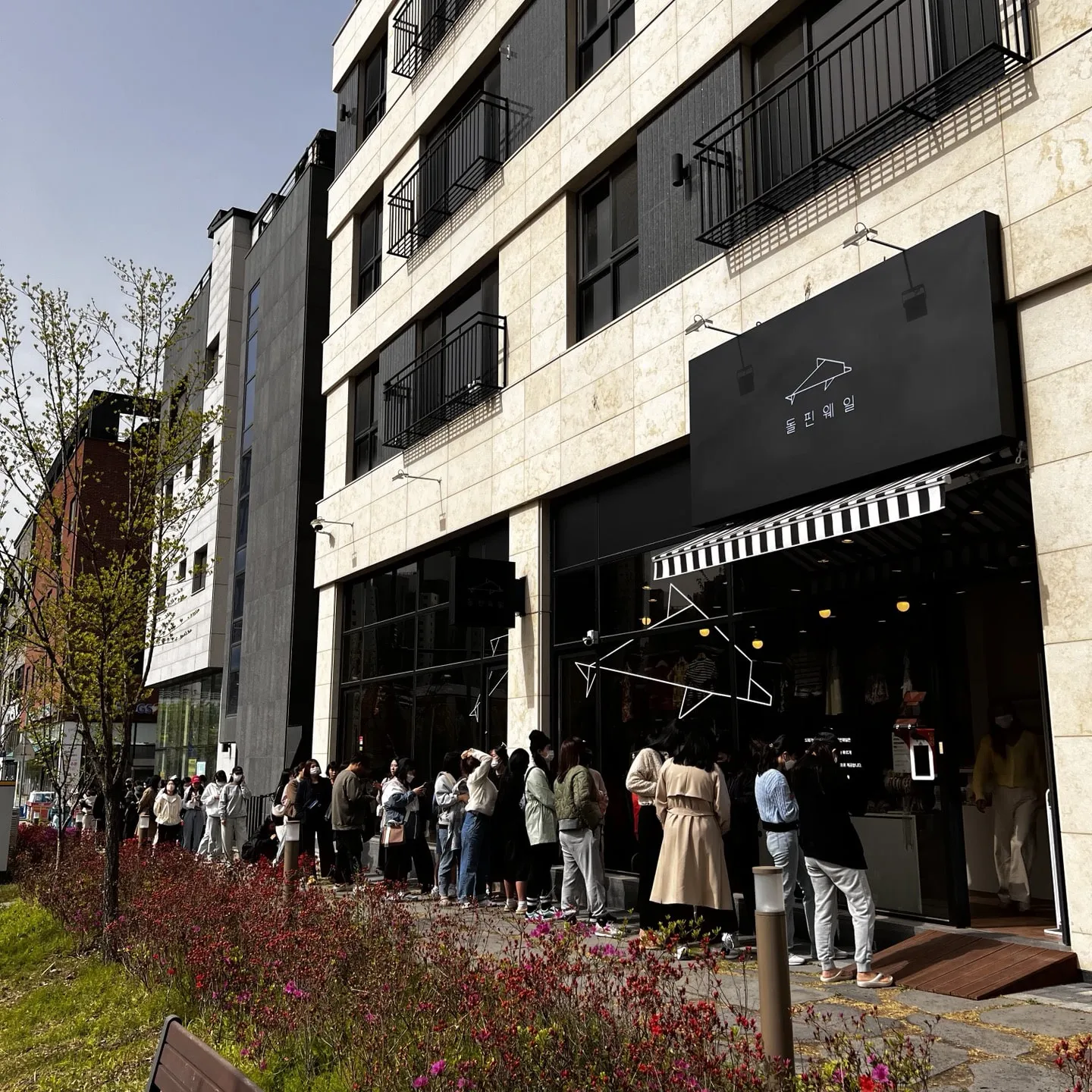 돌핀웨일 12 돌핀웨일 살펴보기 8