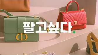 구구스 14 구구스 살펴보기 10