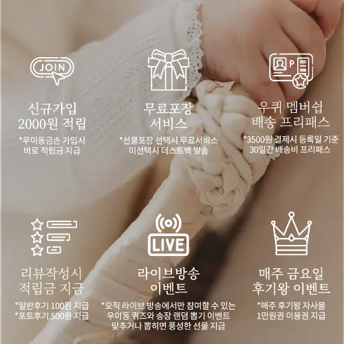 우이동금손 13 우이동금손 살펴보기 9