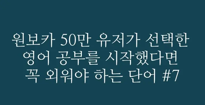 원보카 14 원보카 살펴보기 9