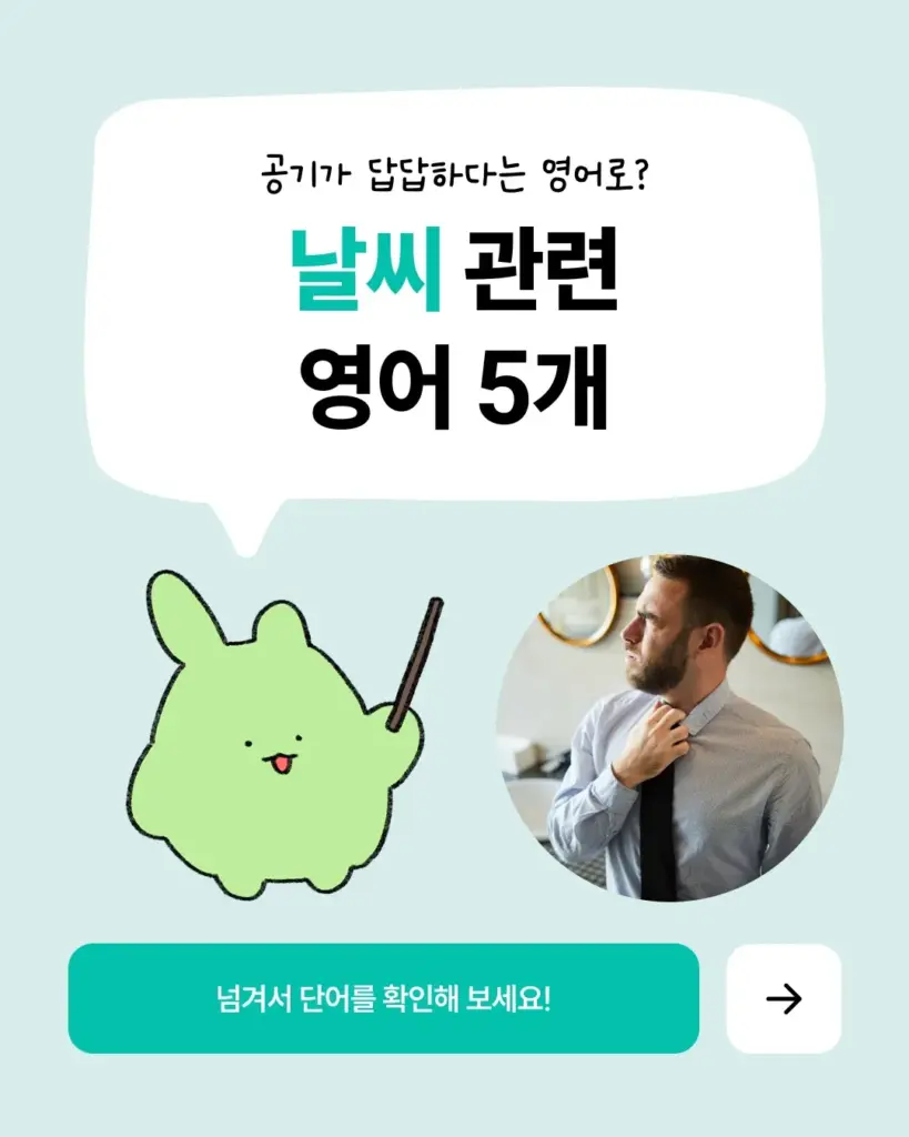 스티키보카 12 스티키보카 살펴보기 8