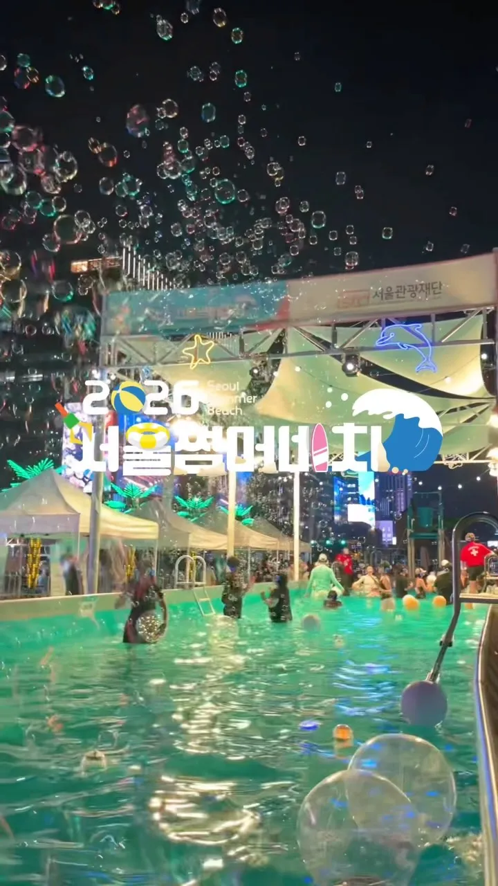 서울썸머비치 7 서울썸머비치 살펴보기 6