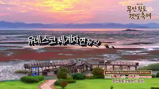 무안 황토 갯벌축제 소개 영상