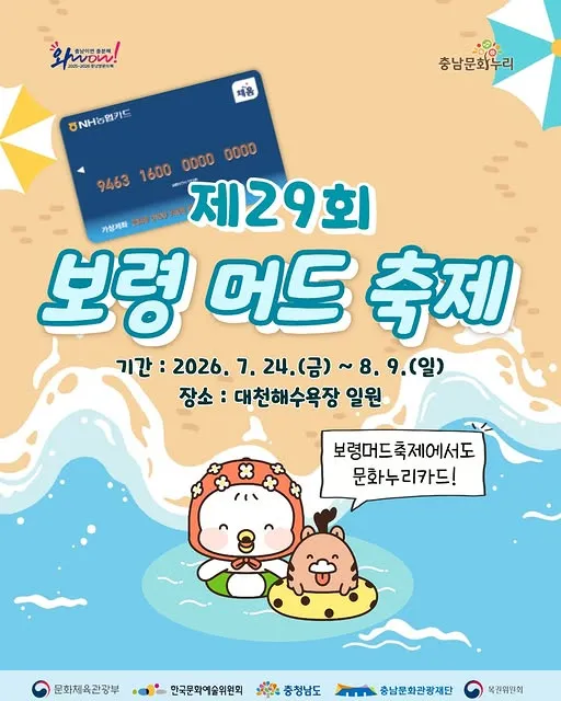 글로벌 대표 여름 축제 보령머드축제 모든 것 (낮에 머드 밤에 공연을 즐기는 여름 체험형 축제)