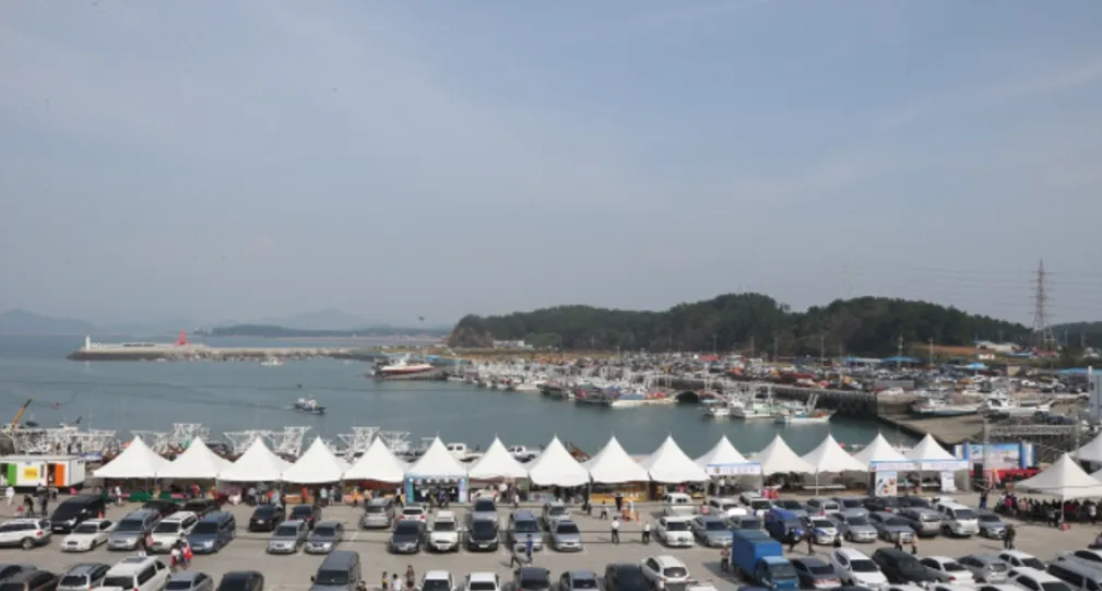 서천 홍원항 자연산 전어 꽃게 축제 11 서천 홍원항 자연산 전어 꽃게 축제 살펴보기 9