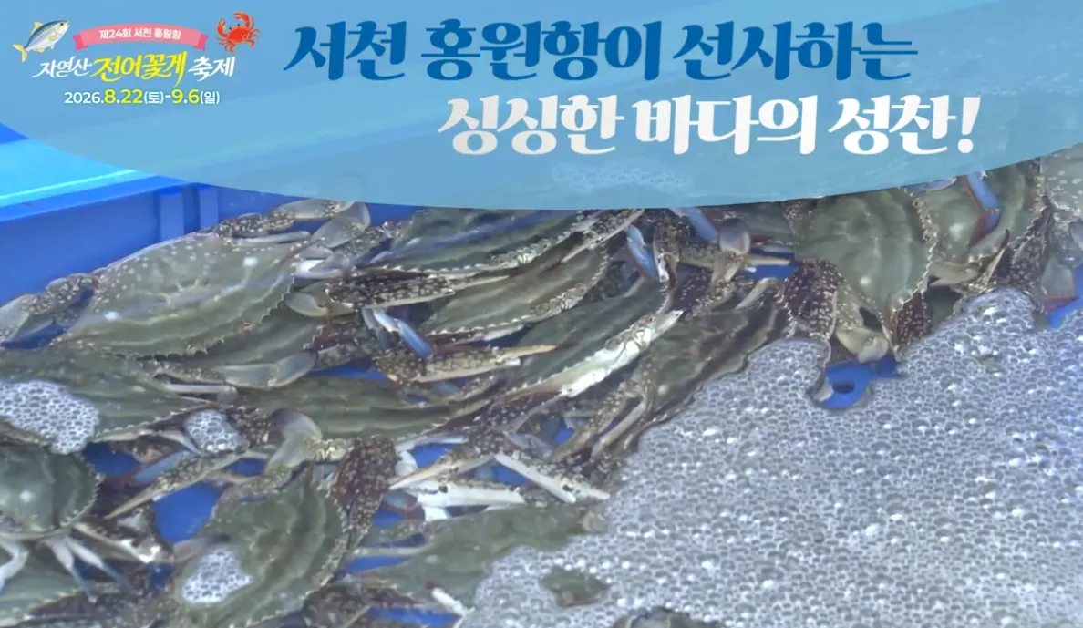 서천 홍원항 자연산 전어 꽃게 축제 12 서천 홍원항 자연산 전어 꽃게 축제 살펴보기 10