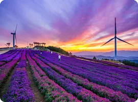 거창 반값여행 12 거창 반값여행 살펴보기 11
