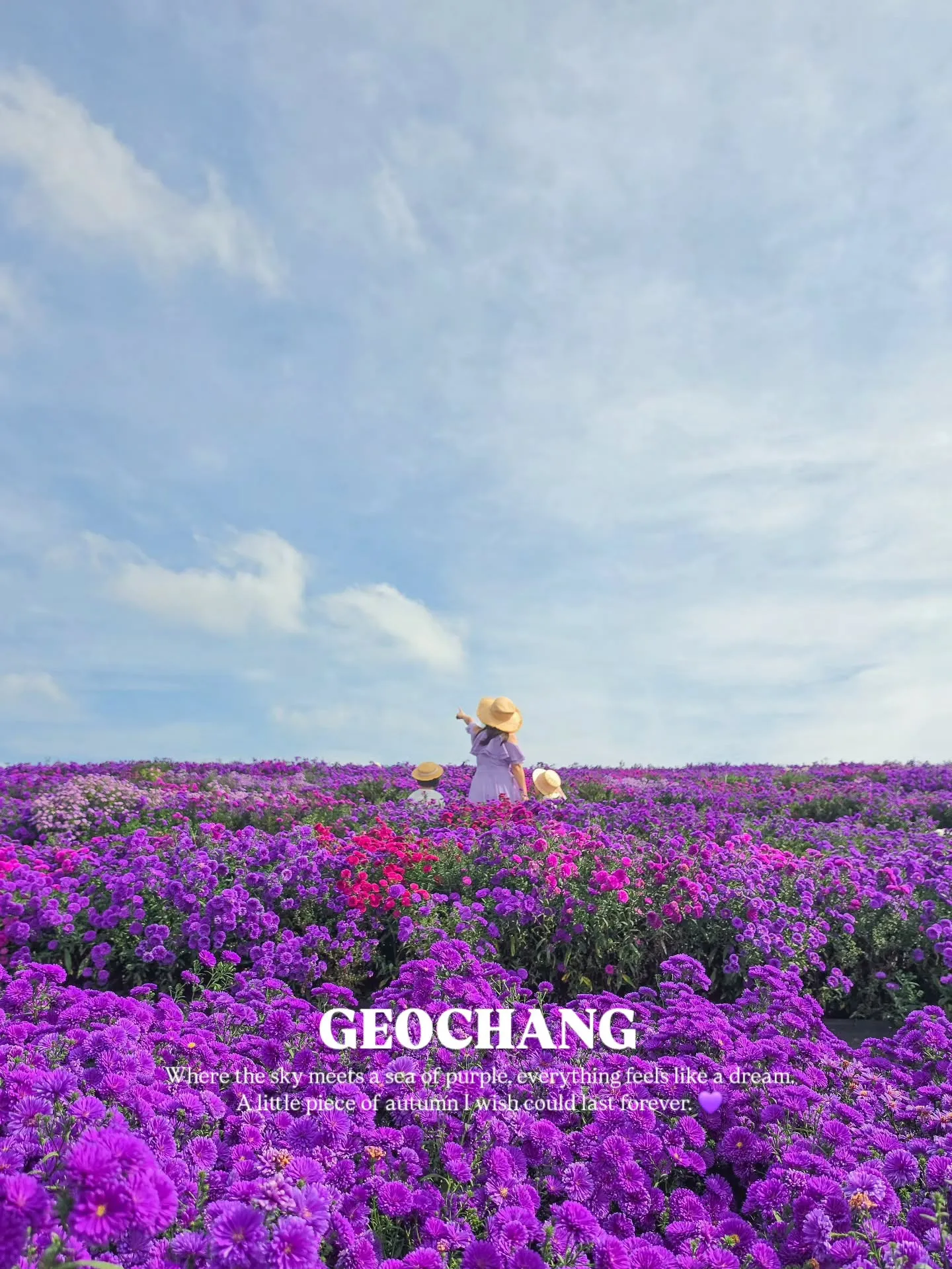 거창 반값여행 4 거창 반값여행 살펴보기 3