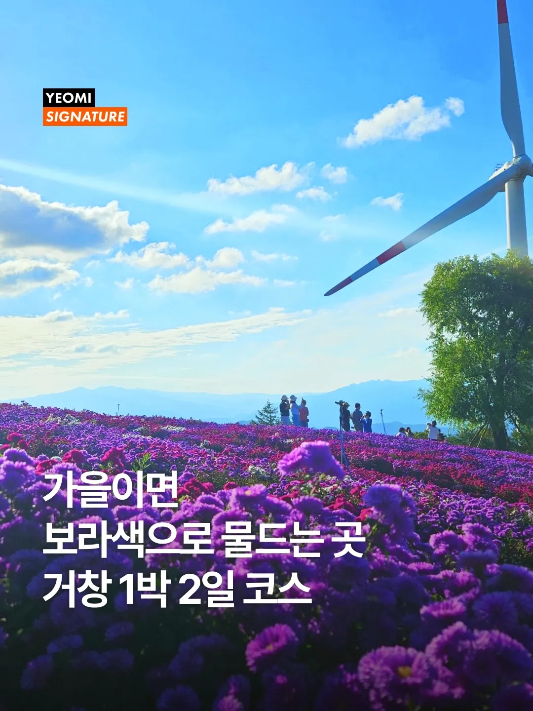 거창 반값여행 6 거창 반값여행 살펴보기 5