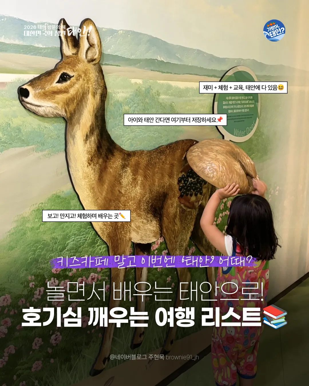 태안 반값여행 12 태안 반값여행 살펴보기 11