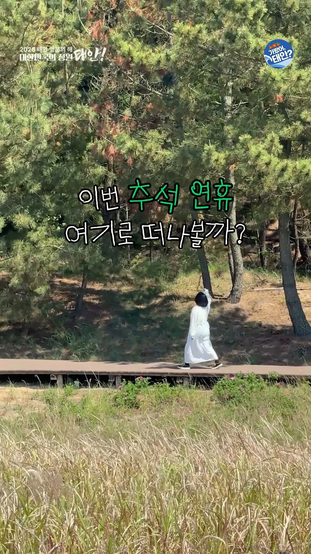 태안 반값여행 13 태안 반값여행 살펴보기 12