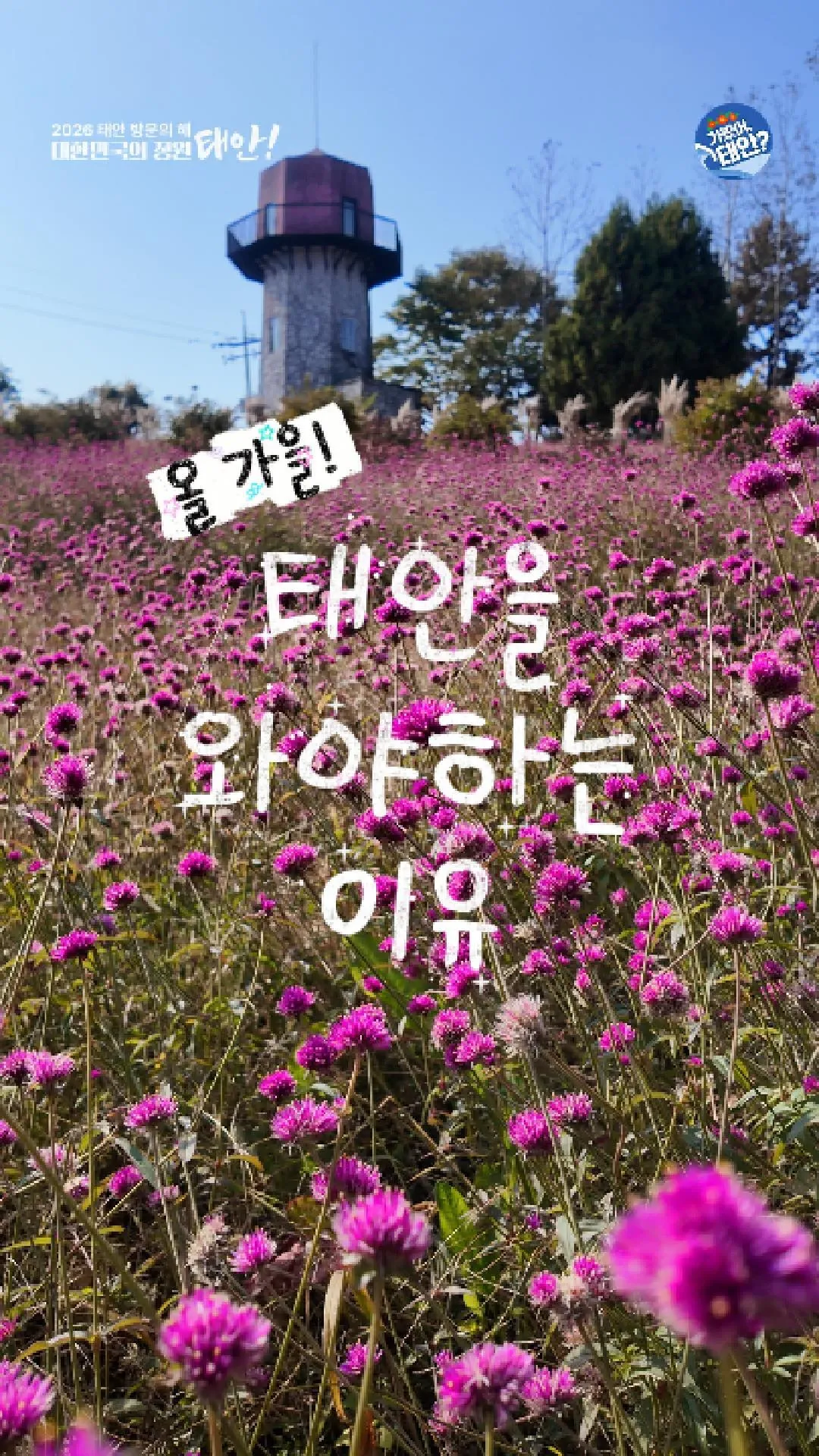 태안 반값여행 1 태안 반값여행 가이드 (태안 반값여행 신청부터 환급까지)