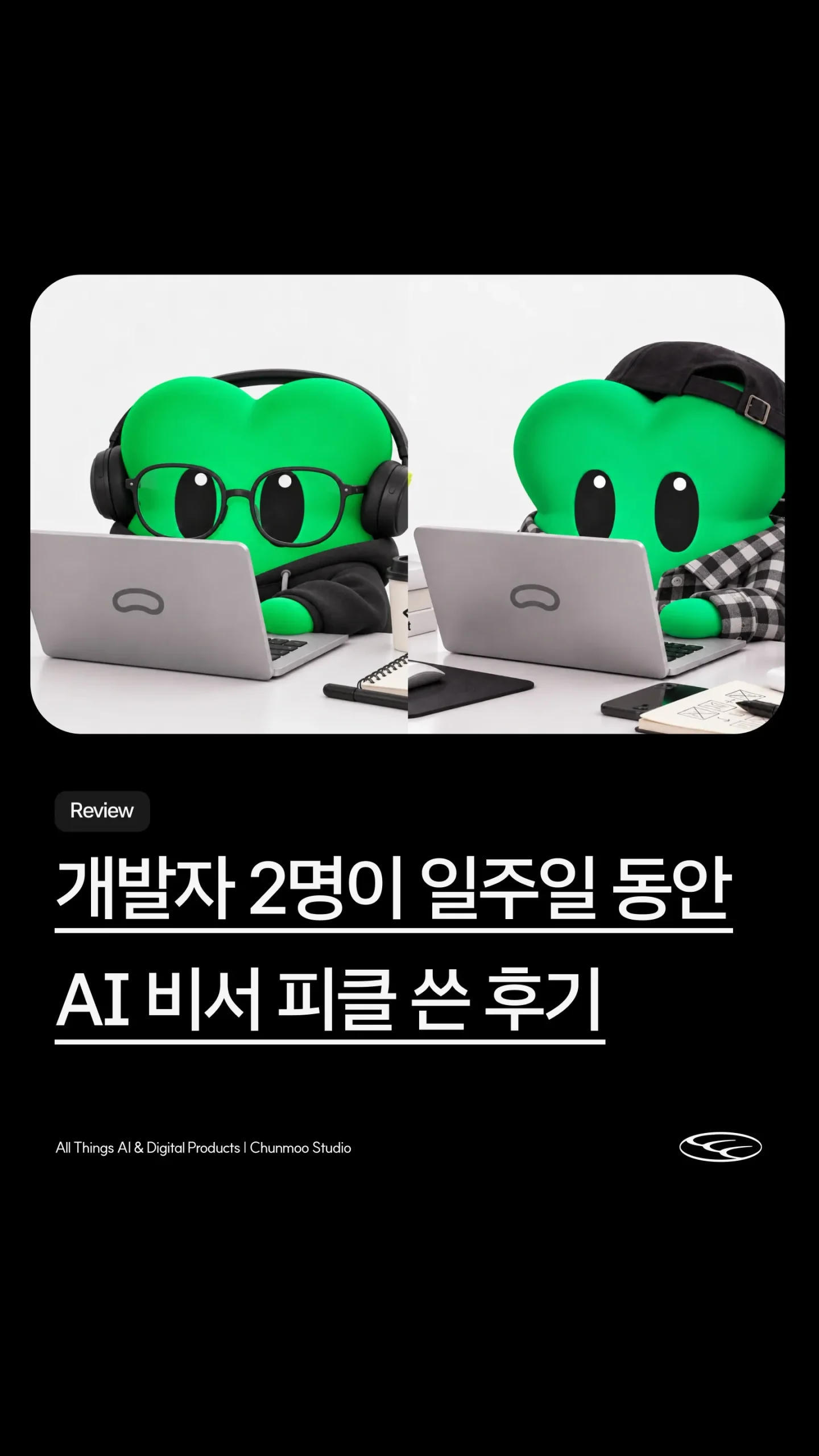 피클 17 피클 살펴보기 13