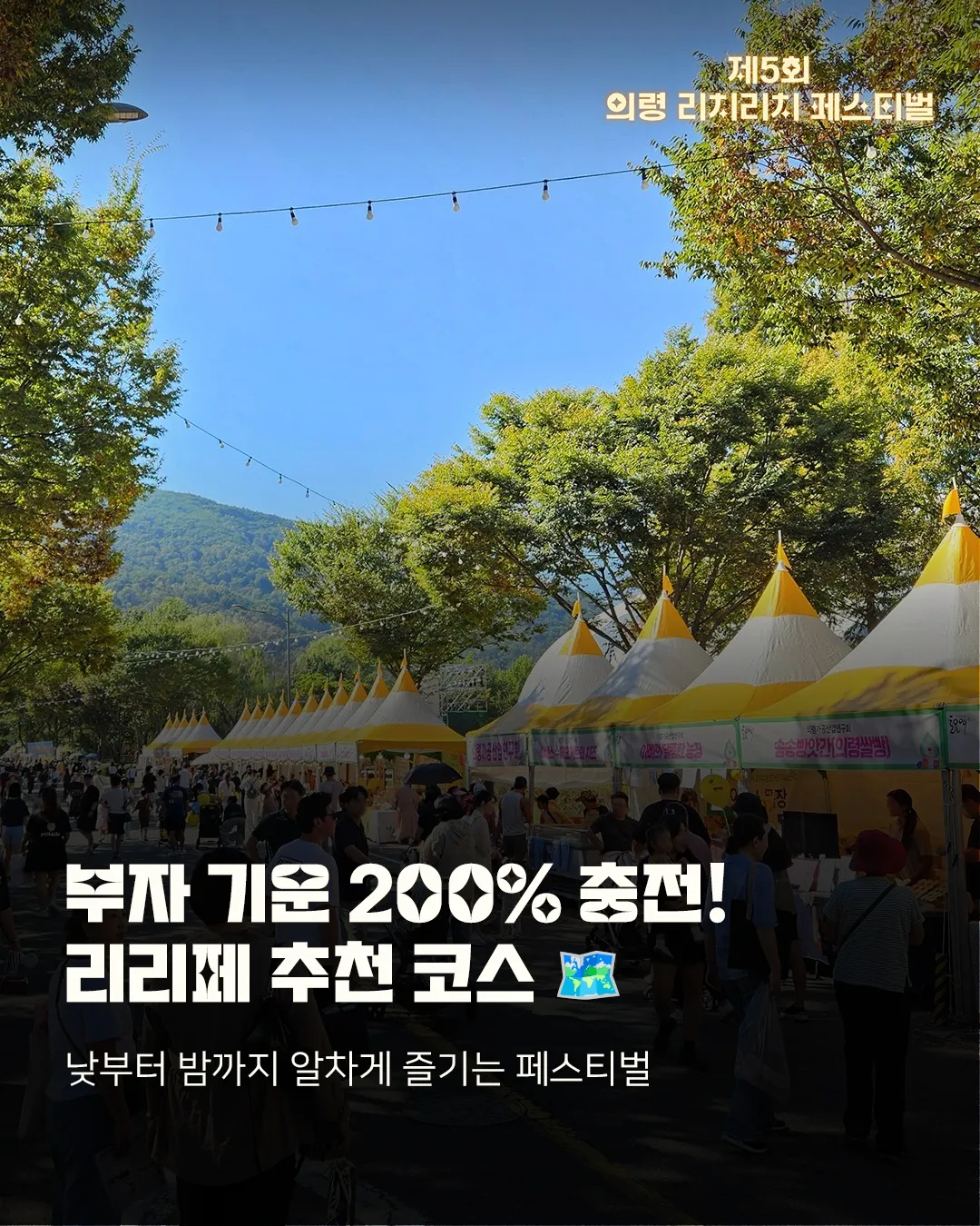 의령 리치리치 페스티벌 1 의령 리치리치 페스티벌 2026 가이드 (부자의 감각을 직접 경험하다)
